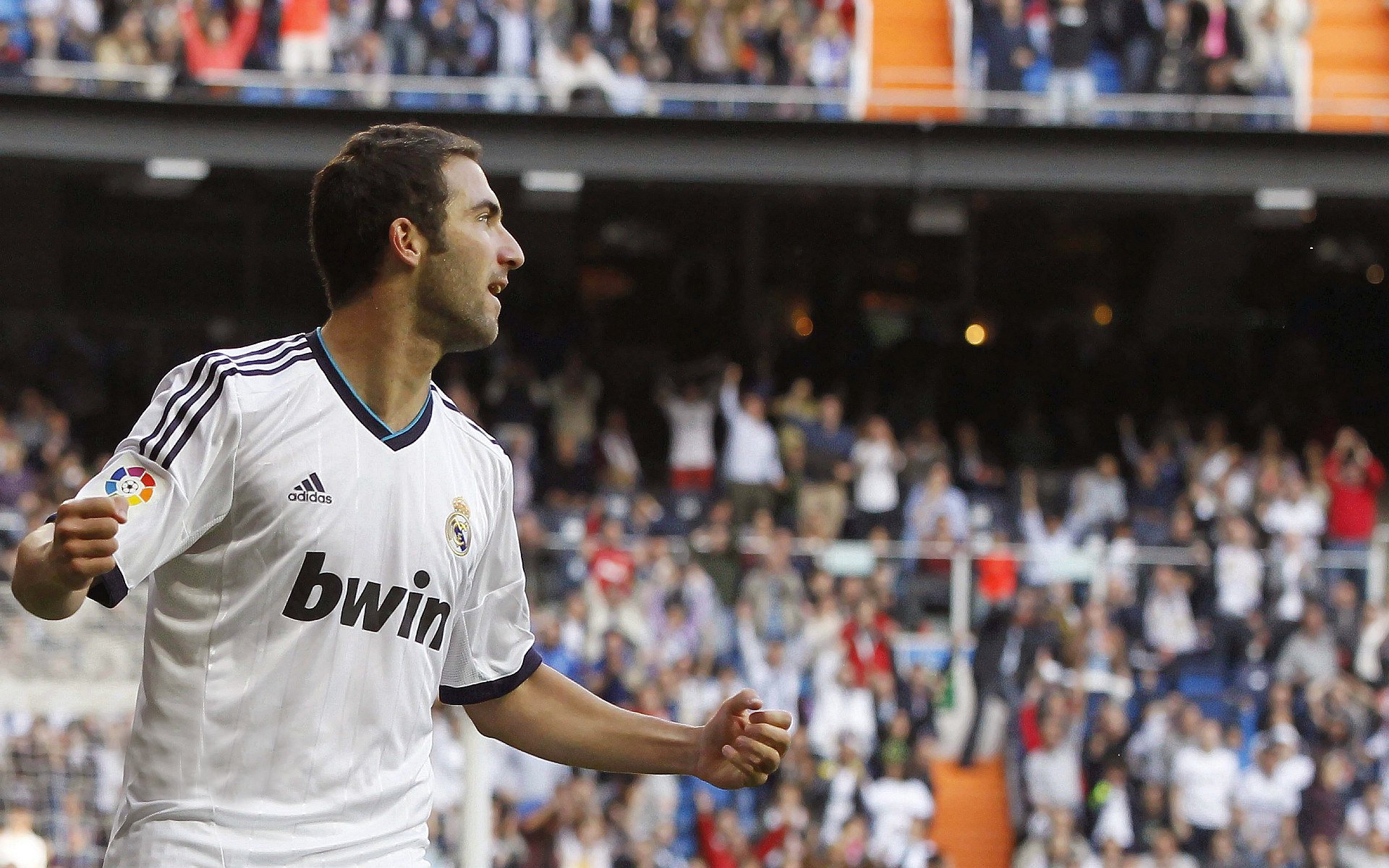 综合格斗赛场焦点！西班牙队对阵韩国队，压哨绝杀，引爆全场观众欢呼