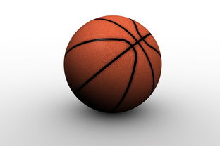 穆雷迎来五赛季高光表现，澳大利亚队球迷沸腾！